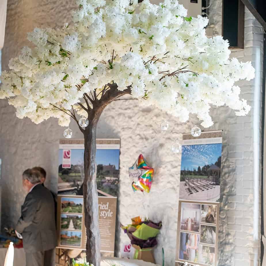 Hire Your Day Blossom Tree